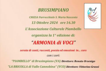 locandina evento, testo in descrizione