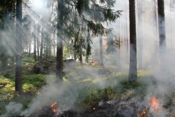 Vademecum &quot;Proteggere L&#39;abitazione Dagli Incendi Di Vegetazione&quot;